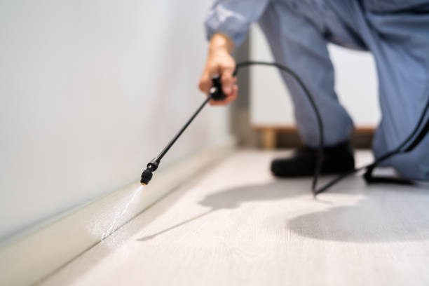 Licensed Termite Control service in Brownstown, IN - Nex Pest Control