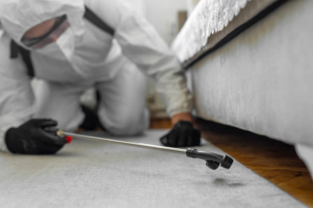 Professional Termite Control technician working in Brownstown, IN
