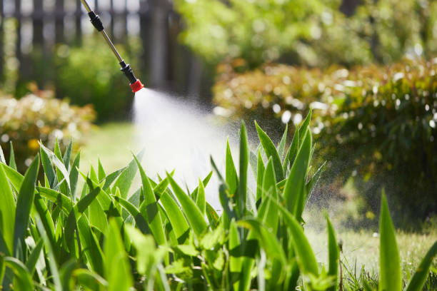 24/7 Emergency Termite Control experts in Brownstown, IN