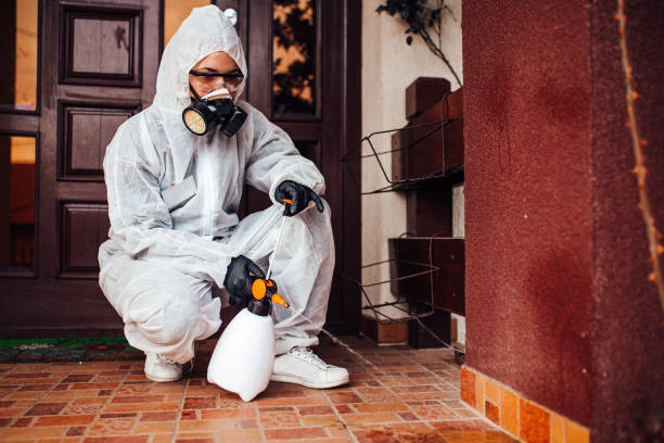 Reliable Termite Control contractor in Brownstown, IN by Nex Pest Control