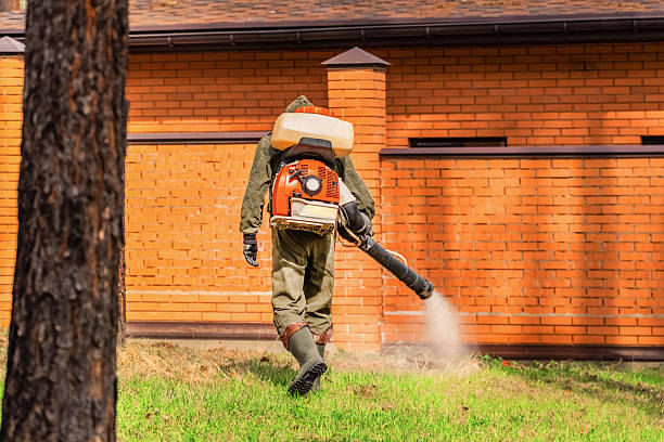 Top rated local Termite Control specialists in Brownstown, IN